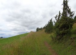 DSC02853