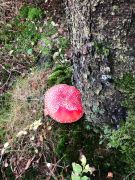 IMG 20251019 WA0024 IMG 20251019 WA0024