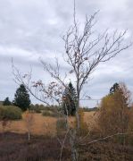 IMG 20251019 WA0032 IMG 20251019 WA0032